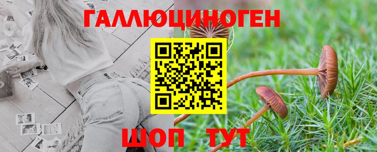 Зерноград  Галлюциногенные грибы ЛСД  Вход с VPN  Псилоцибиновые грибы Magic Shrooms 