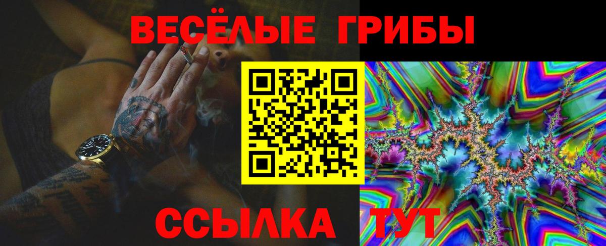 Галлюциногенные грибы Psilocybine cubensis Зерноград